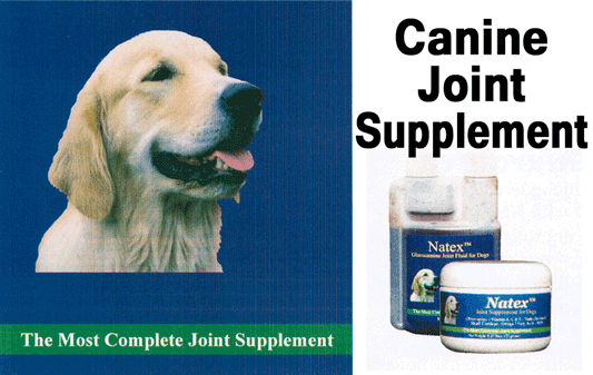 Best Joint Supplement for Dogs